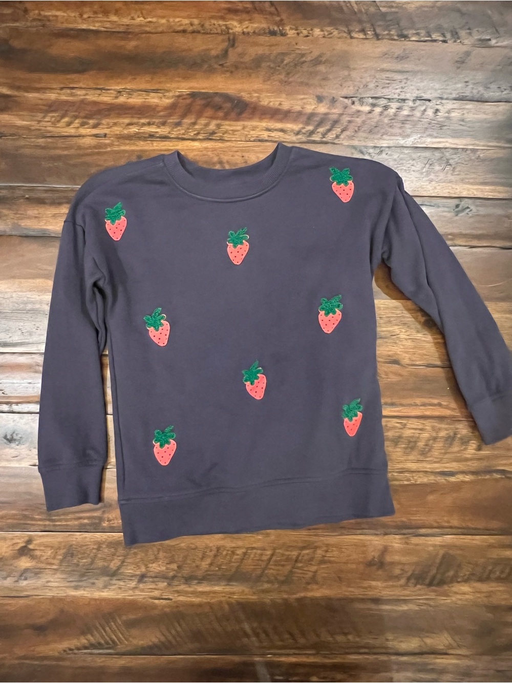 Hanna Andersson Navy Sweatshirt with Pink & Green Strawberry Appliqués